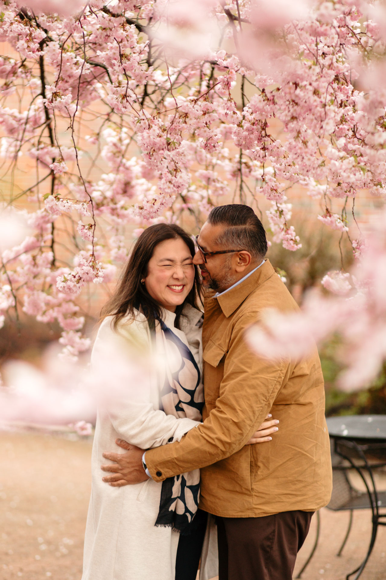 couple snuggled beneath cherry blossom tree in downtown Portland Maine during their engagement session