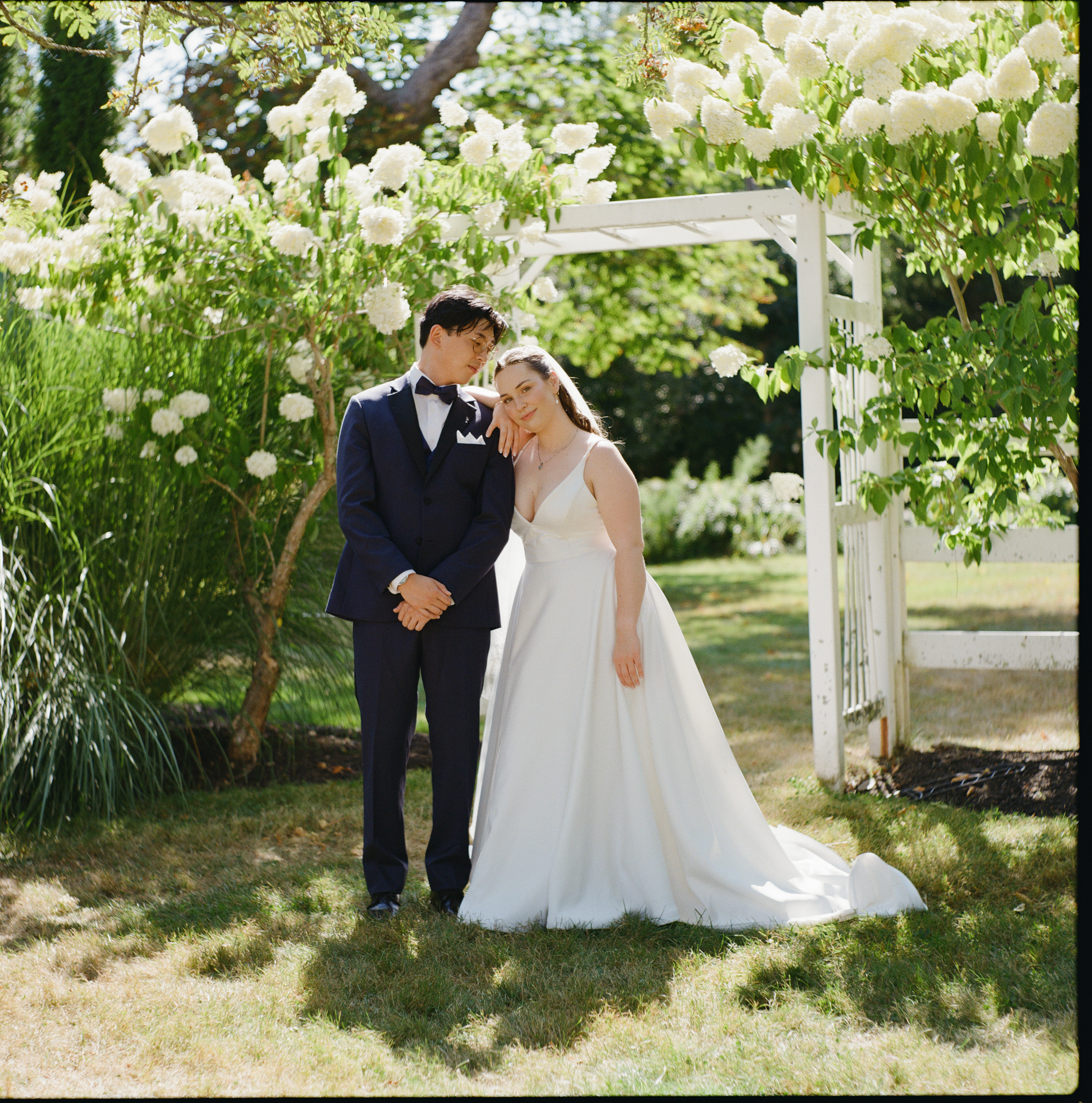 Film Wedding Photography, Couple standing in front of hydrangeas at Live Well Farm in Harpswell Maine in August 